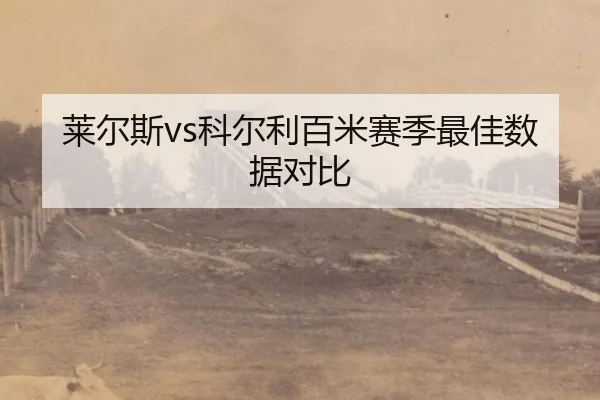lai-er-si-ke-er-li-bai-mi-sai-ji-zui-jia-shu-ju-dui-bi-3-199.jpg